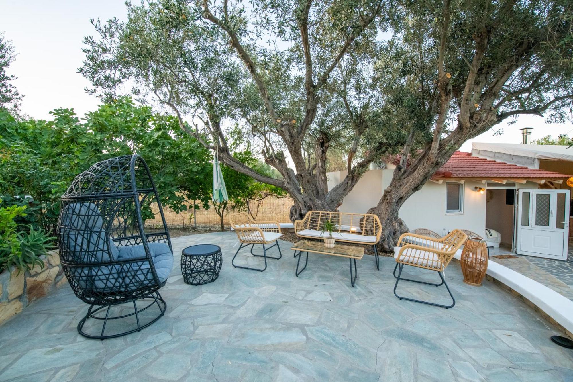 Olive Treasure * Kolymbia