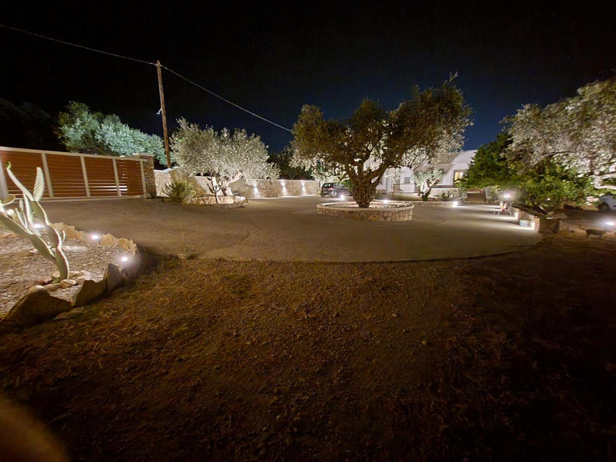 Villa Olive Treasure *