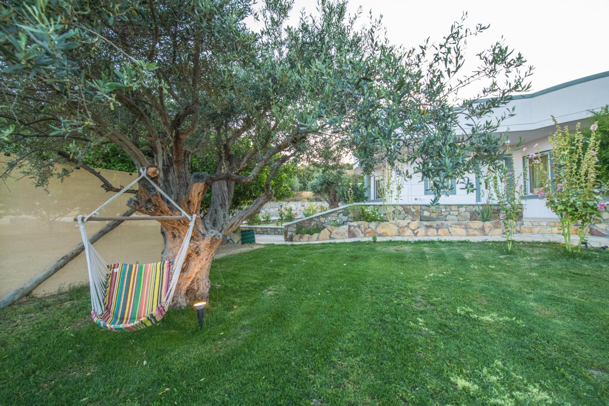 Villa Olive Treasure