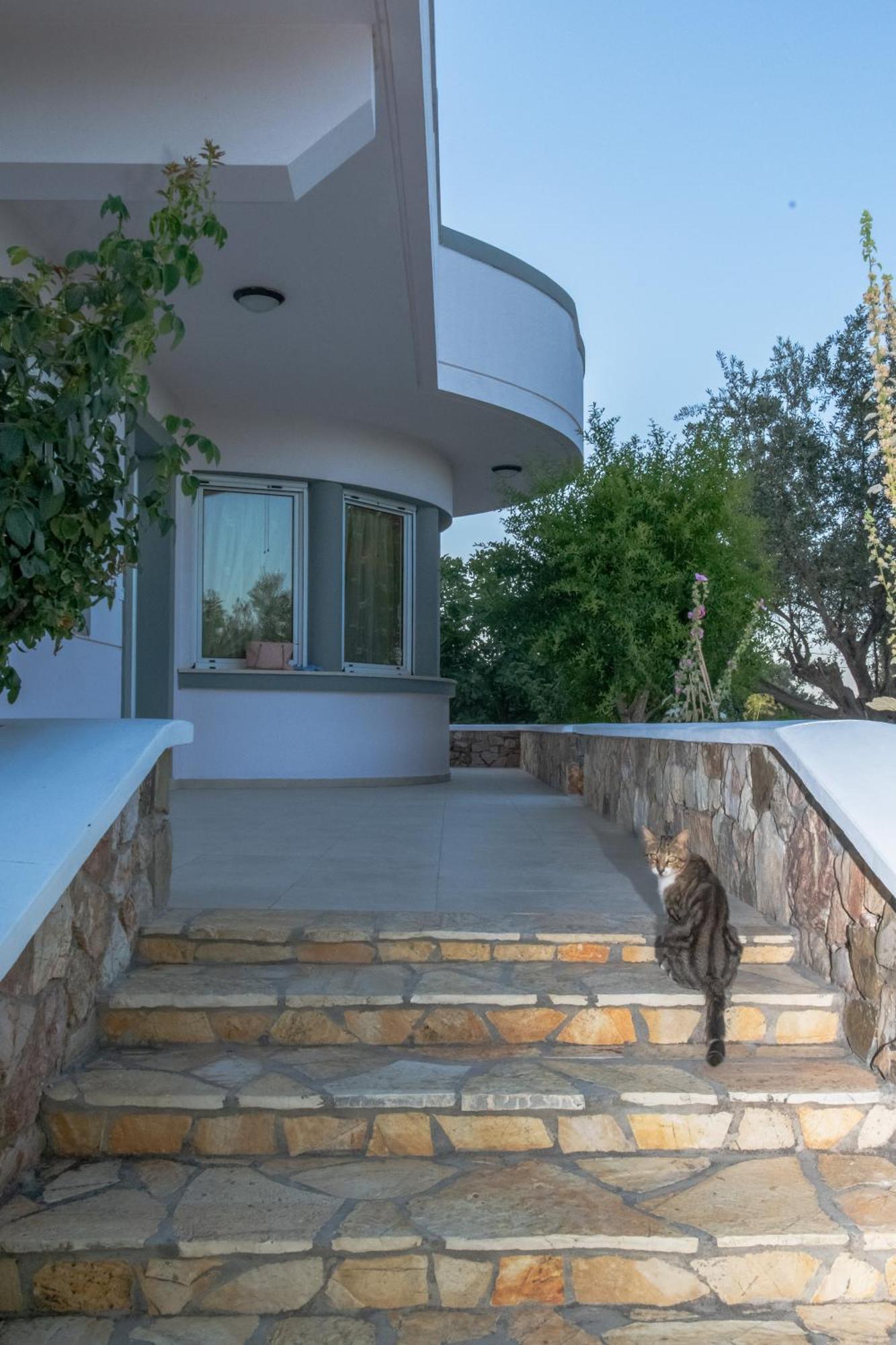 Olive Treasure Villa *